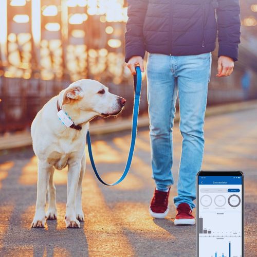 Pet owner walking the dog with 4G GPS Dog Tracker in use