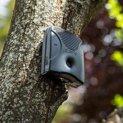 Goodlife Dog Silencer mounted in tree