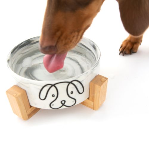 Brown dog drinking from PuppCo Ceramic Dog Bowl Grey Marble on Wooden Stand