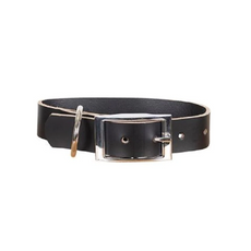 Mog and Bone Genuine Leather Collar in colour Black