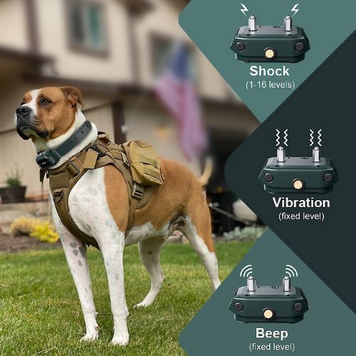 Large Dog wearing HW900 collar, graphic showing training modes