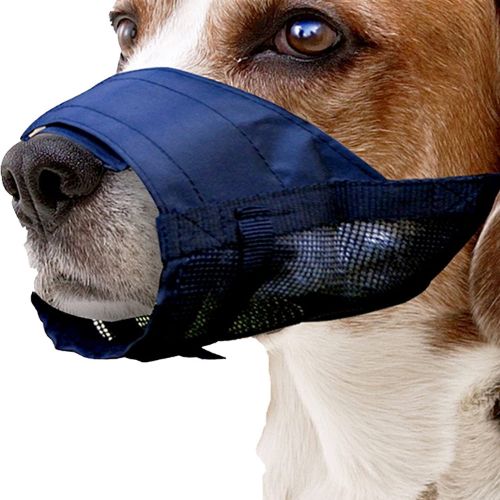 Cloe-up of dog wearing Pawise Nylon Dog Muzzle