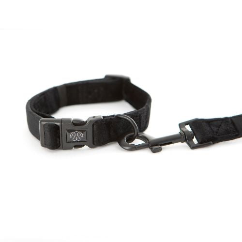 PuppCo Black Velvet Deluxe Collar with lead attached