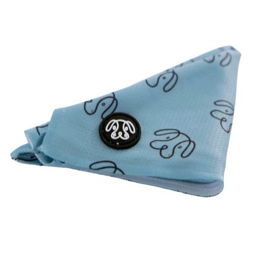 PuppCo Bandana Teal