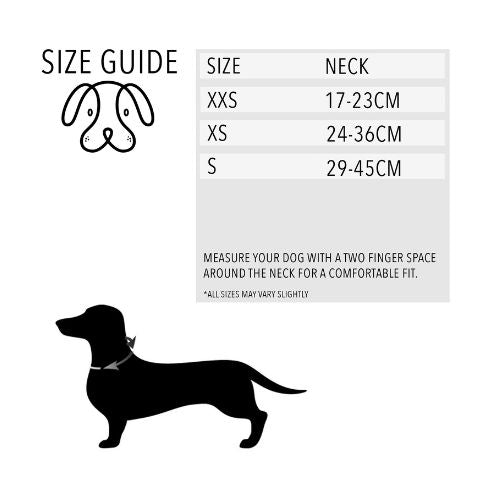 PuppCo Sizing Chart