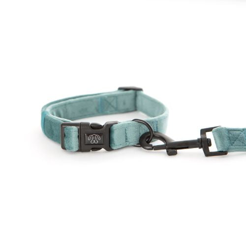 PuppCo Teal Velvet Deluxe Collar with lead attached