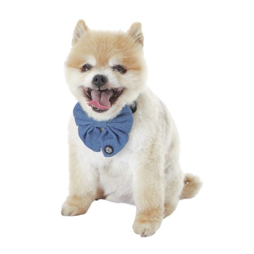 Fluffy Puppy wearing Luxe Denim Dog Bow