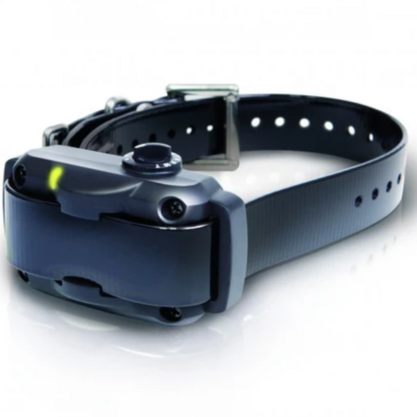 Dogtra store ys600 review
