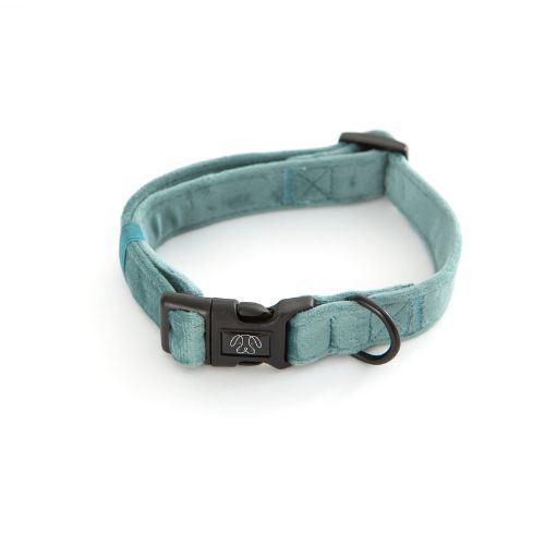 PuppCo Teal Velvet Deluxe Collar