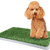 Dogit Green Dog Trainer Toilet - alternate view