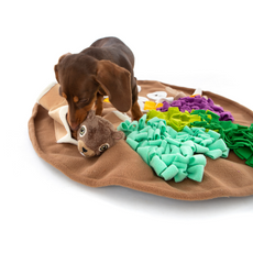 Small dog playing with Dig n Treat Mat