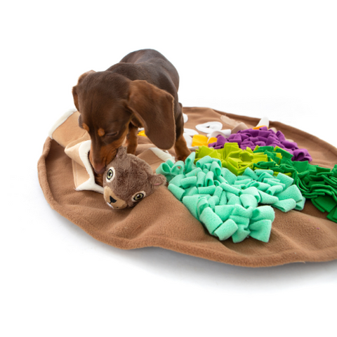 Dog sales treat mat