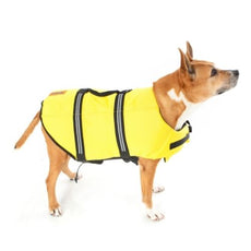 Brown and white dog wearing yellow Lifejacket