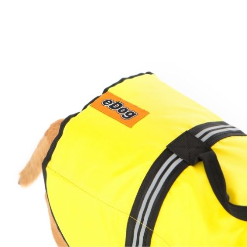 Dog Life jacket with logo