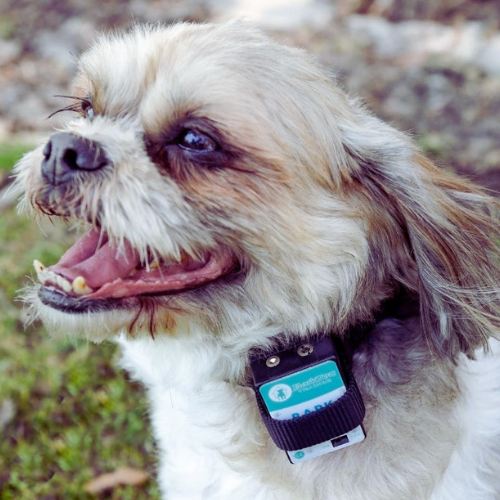 Ultimate sales bark control